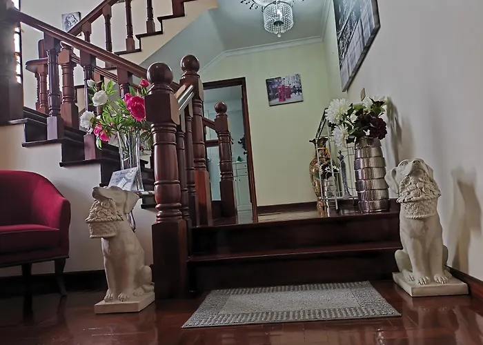 Villa Telo